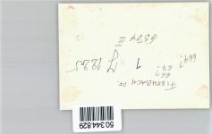 66996 W6781 Fischbach bei Dahn - Foto