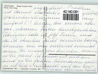 Uferschnepfe Vogel