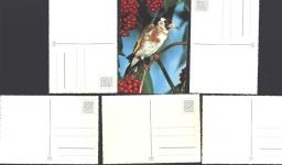 Lot mit 28 AK (alle mehrfach) Vogel