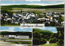 65321 W6209 Springen , Untertaunus