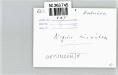 97737 W8780 Gemünden a. Main - Foto