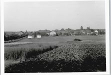 57629 W5239 Linden , Westerw - Foto-Karte