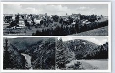 95131 W8678 Bernstein a Wald
