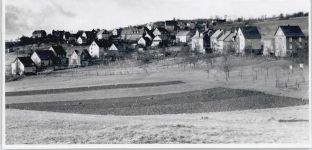 56470 W5439 Zinhain - Foto
