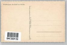 37284 W3445 Waldkappel - Junge mit Fernglas