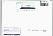 99842 O5906 Ruhla - Foto
