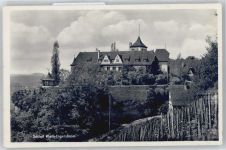 74379 W7121 Kleiningersheim - Weinberge , Schloss