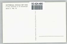 3001 Rotterdam - Stokvischverlaat