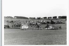 56457 W5438 Halbs - Foto