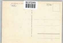 26736 W2974 Manslagt