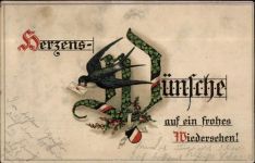 Brieftaube Vogel