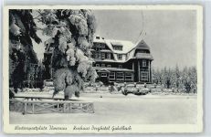 98693 O6300 Ilmenau , Thür - Hotel Gabelbach