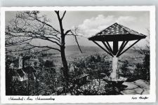 92421 W8460 Schwandorf , Bay - Schwammerling
