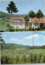 69483 W6948 Ober-Schönmattenwag - Pension Haus Ballmann