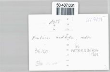 36100 W6415 Petersberg , Kr Fulda - Foto-Karte