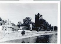 65343 W6228 Eltville am Rhein - Foto Fluss Haus Baum