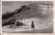 83727 W8162 Spitzingsee - Firstalm