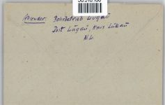 35274 W3575 Kirchhain - Landpoststempel Lugau, Kirchhain