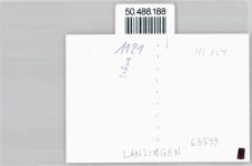 63599 W6465 Lanzingen - Foto Haus Baum Straße