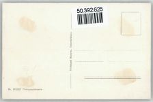 70173 W7000 Untertürkheim - Weinlese , Traubenlese