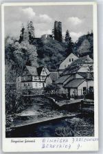 56203 W5410 Grenzau - Burgruine