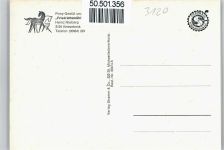 29378 W3120 Knesebeck - Pony-Gestüt