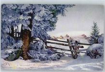 Winterlandschaft Photochromie