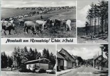 98701 O6314 Neustadt a Rennsteig - Kuhweide, Waldbaude Dreiherrnstein, Bahnhofstraße