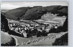 34508 W3542 Schwalefeld - Berg Feld Haus Baum