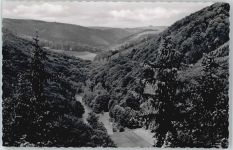 56579 W5455 Rengsdorf , Kr Neuwied - Talsicht, Fotokarte, Elisabeth-Höhe