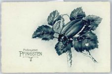 Pfingsten AKU1 Maikäfer Künstlerkarte