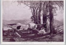 H.Frank , Mürztal , (postkartensammlung der Gemeinschaft Freude durch bildende Künste-Geschäftsstelle Österreich) AKU1