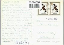 98666 O6121 Schnett - Gesamtansicht, Waldbad, Jugendherberge