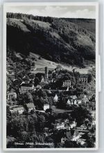 75365 W7260 Hirsau