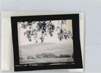 35305 W6310 Queckborn , Hess FOTO KEINE AK Foto mit Negativ