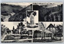 98711 O6304 Frauenwald - Park, Denkmal, Teilansicht