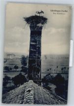 57790 Lorquin - Storchennest