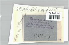 25560 W2216 Schenefeld , Mittelholst FOTO KEINE AK Foto mit Negativ