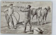Pferdepflug im Feindesland Tiergespann