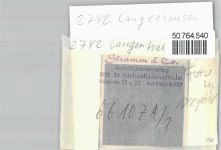 27442 W2742 Langenhausen FOTO KEINE AK Foto mit Negativ