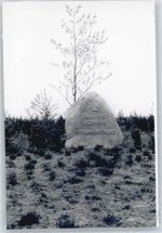 29359 W3101 Habighorst FOTO KEINE AK Foto mit Negativ, Ehrenmal
