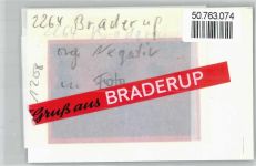 25923 W2264 Braderup b Niebüll FOTO KEINE AK Foto mit Negativ, Pferd