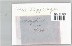 38373 W3334 Süpplingen , Kr Helmstedt FOTO KEINE AK Foto mit Negativ, Geschäft