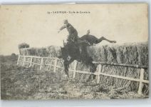 49400 Saumur - Pferd