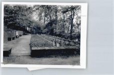 32469 W4953 Ilvese FOTO KEINE AK Foto mit Negativ