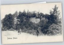 55606 W6570 Dhaun - Schloss