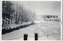 29699 W3036 Benefeld FOTO KEINE AK