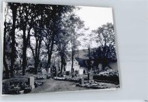 25923 W2264 Süderlügum FOTO KEINE AK Foto mit Negativ, Friedhof