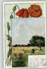 Sommer, Mohn, Verlag L. Frank Nr. 541, sign. Splitgerber Datumskarte 1902 Künstlerkarte