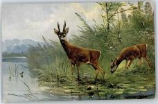 Rehe Müller jun. (München)